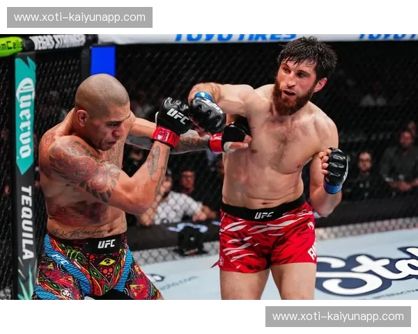 宿命之战:当“西伯利亚神鹰”撞上“爱尔兰狂人”,那场改变UFC格局的巅峰对决